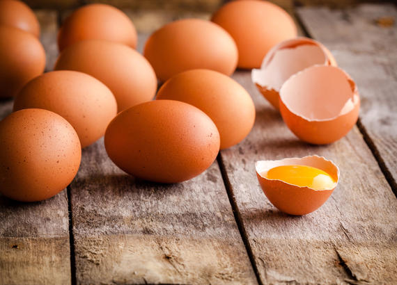 Egg