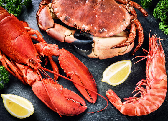 lobsters
