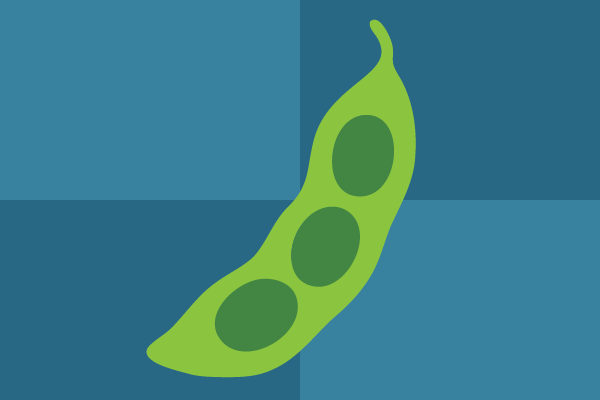 Soy