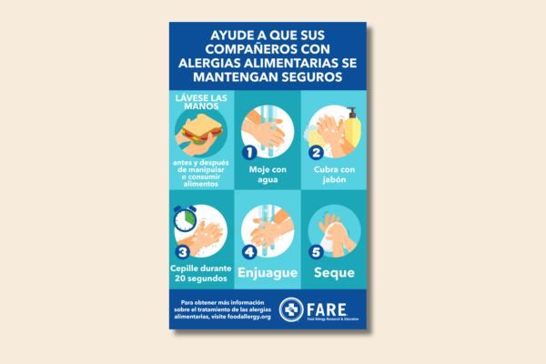 Spanish handwashing poster preview