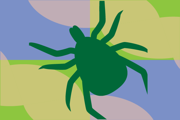 Tick