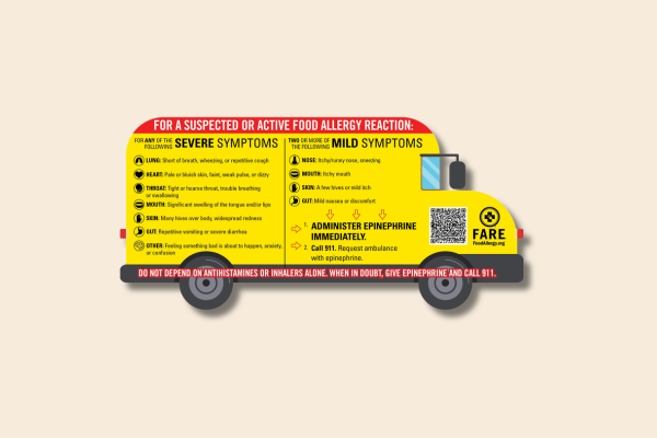 Bus magnet preview